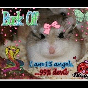 Meet your Posher, Jaylin